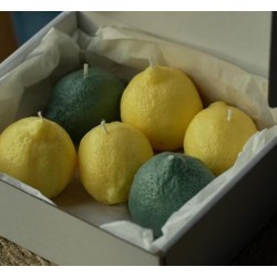 MOLDE LIMON REALISTA MODELO 2