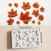 MOLDE HOJAS DE OTOÑO PLANAS MOLDE HOJAS DE OTOÑO PLANAS