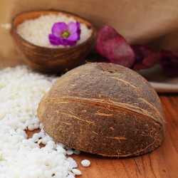 CONCHAS DE COCO LIMPIAS 60 ML