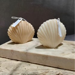 MOLDE CONCHA MARINA 3D PEQUEÑA