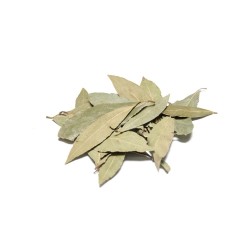 PULVERIZADO DE LAUREL PARA JABONES 10 GRAMOS PULVERIZADO DE LAUREL PARA JABONES 10 GRAMOS