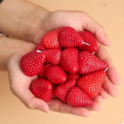 MOLDE DE FRESAS PEQUEÑAS 3D 4 CAVIDADES